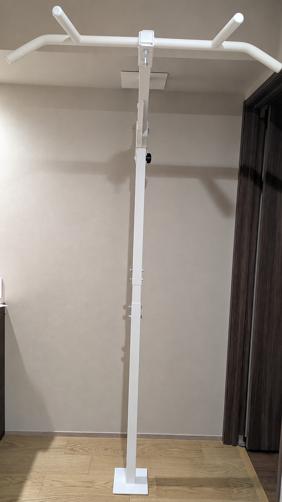 Why a Pull Up Bar Might Be the Most Important Piece of Home Gym Equipment You'll Ever Buy