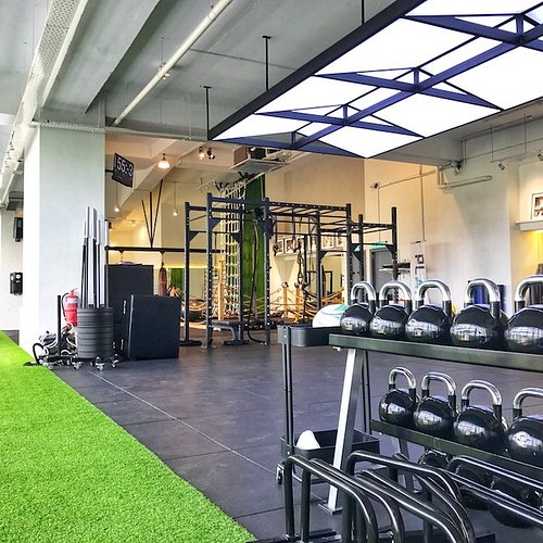 Armaguard Gym Mats & Astro Turf – The Ultimate Flooring Combo for Your Home or Commercial Gym