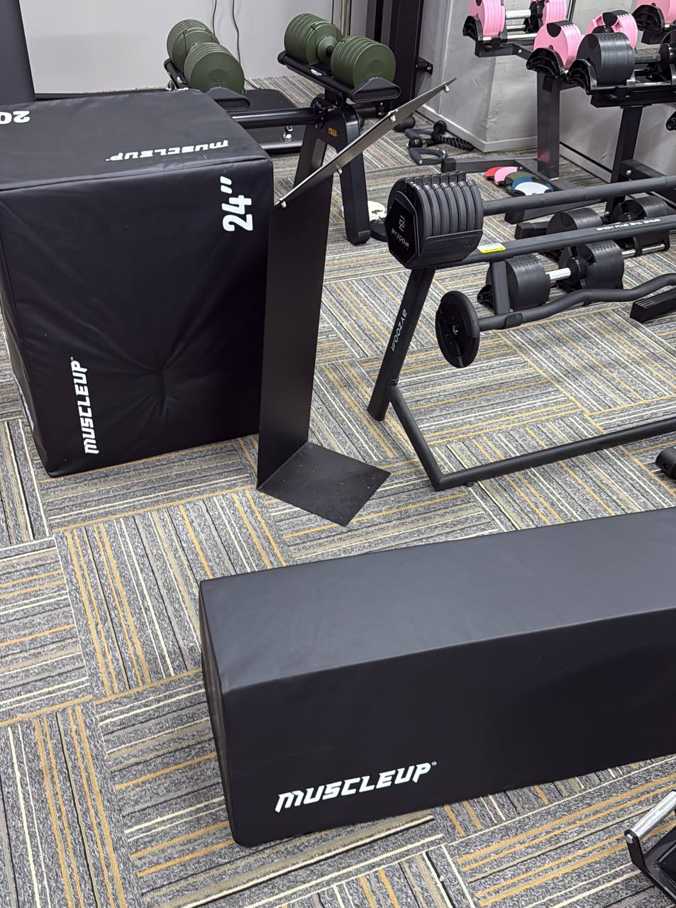 Targeted Lower-Body & Functional Training Equipment — MuscleUp Hip Thr ...