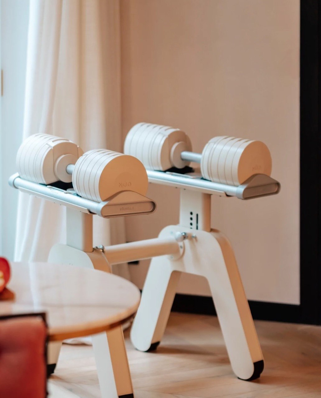 The Singapore Home Gym Formula: Why Adjustable Dumbbells Are Replacing Entire Rooms of Equipment