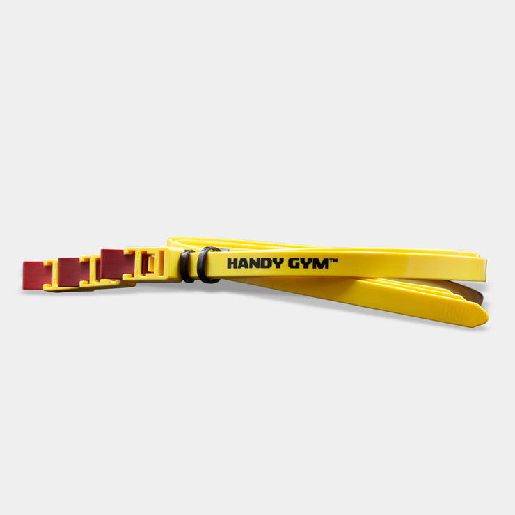 Handy Gym Evolution Pro | Handy Gym Equipment | THEGREATCOMPANY.CO
